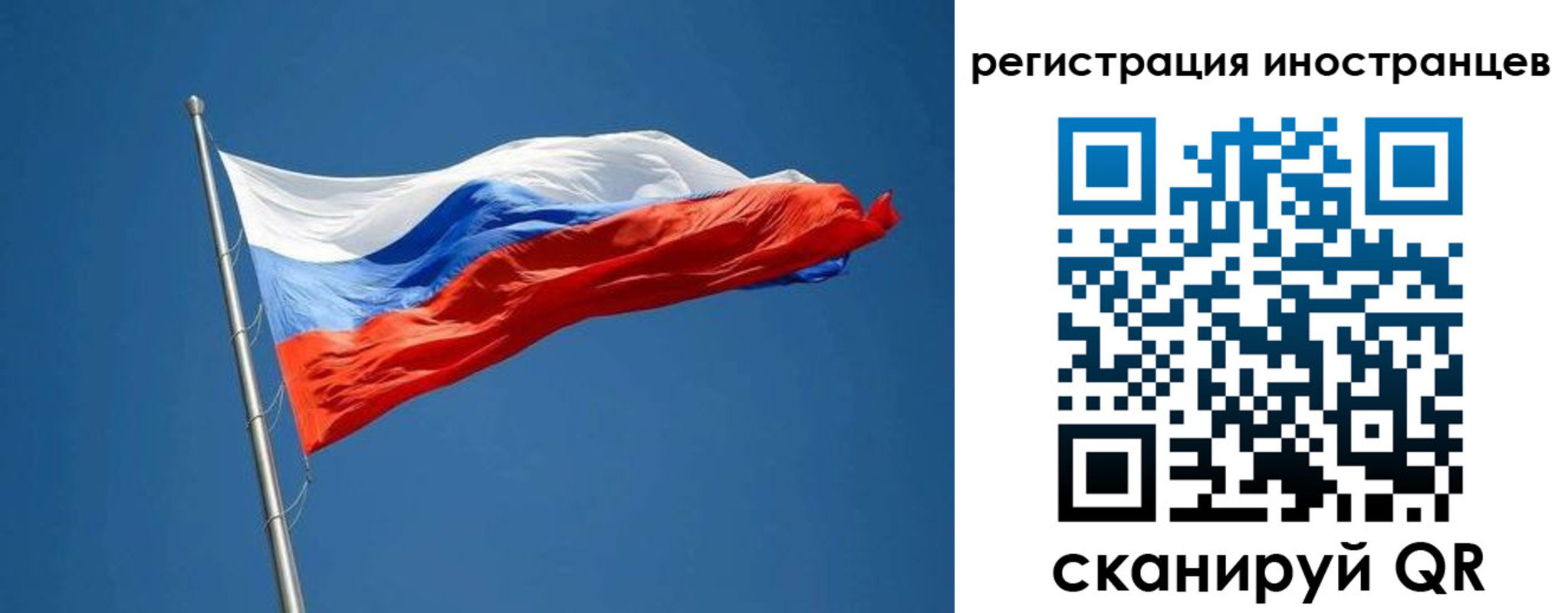 прописка в Лосино-Петровском